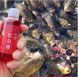 Прикормка для рыбы натуральная приманка Красный Червь рыбный фермент концентрат аттрактант запах хробака RED-60 фото 4