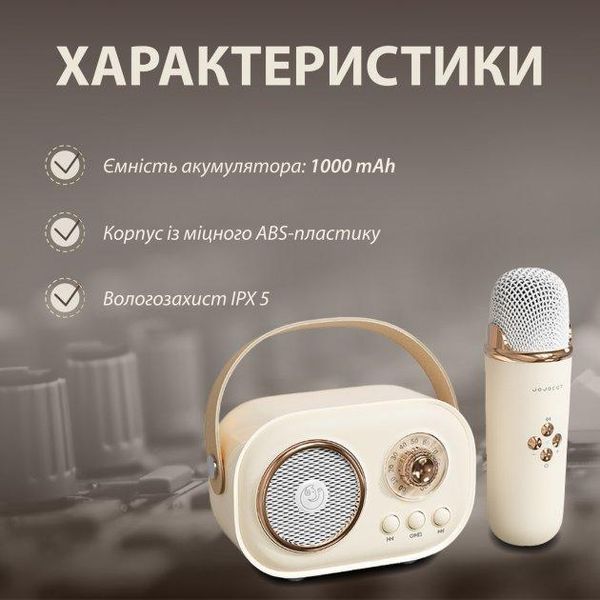 Портативная Bluetooth колонка Pulse Platinum C20 беспроводная с микрофоном караоке детское C20BE фото