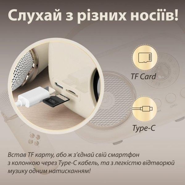 Портативная Bluetooth колонка Pulse Platinum C20 беспроводная с микрофоном караоке детское C20BE фото