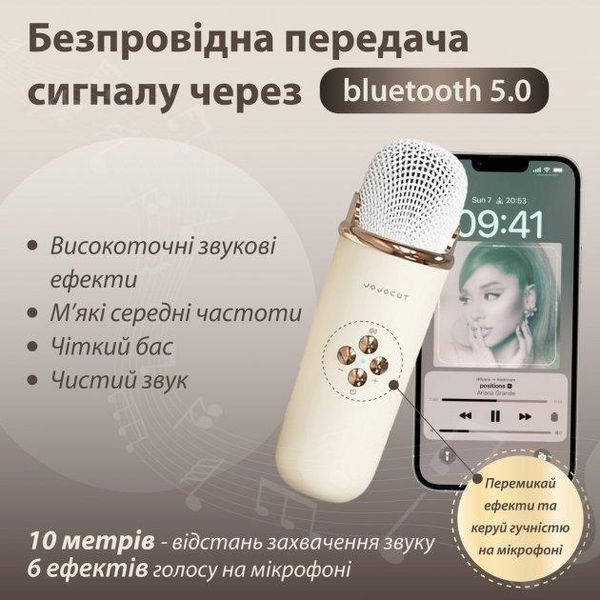 Портативная Bluetooth колонка Pulse Platinum C20 беспроводная с микрофоном караоке детское C20BE фото