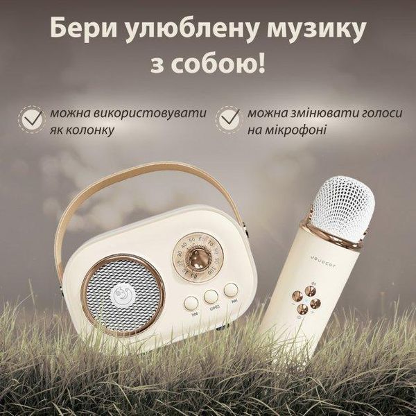 Портативная Bluetooth колонка Pulse Platinum C20 беспроводная с микрофоном караоке детское C20BE фото