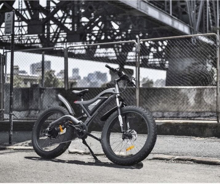 Потужний гірський електровелосипед 1500w/48в/15 Ам Aostirmotor байк підвищеної прохідності  Aosti фото